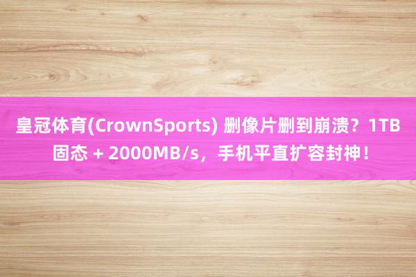 皇冠体育(CrownSports) 删像片删到崩溃？1TB 固态 + 2000MB/s，手机平直扩容封神！