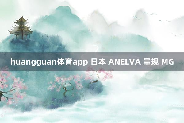 huangguan体育app 日本 ANELVA 量规 MG